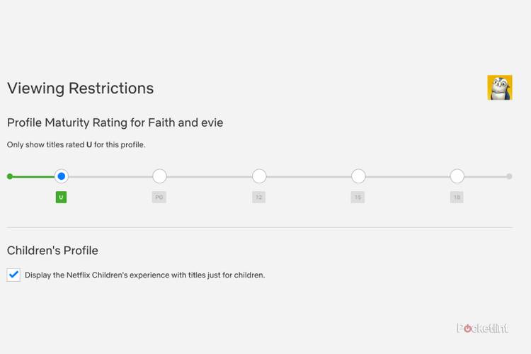 How to set up Netflix profile PIN and remove specific shows