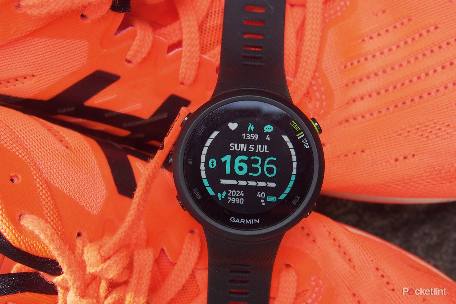 その他 GARMIN ForeAthlete 45 Forerunner 45 [English] [Discontinued] - TTOT Limited