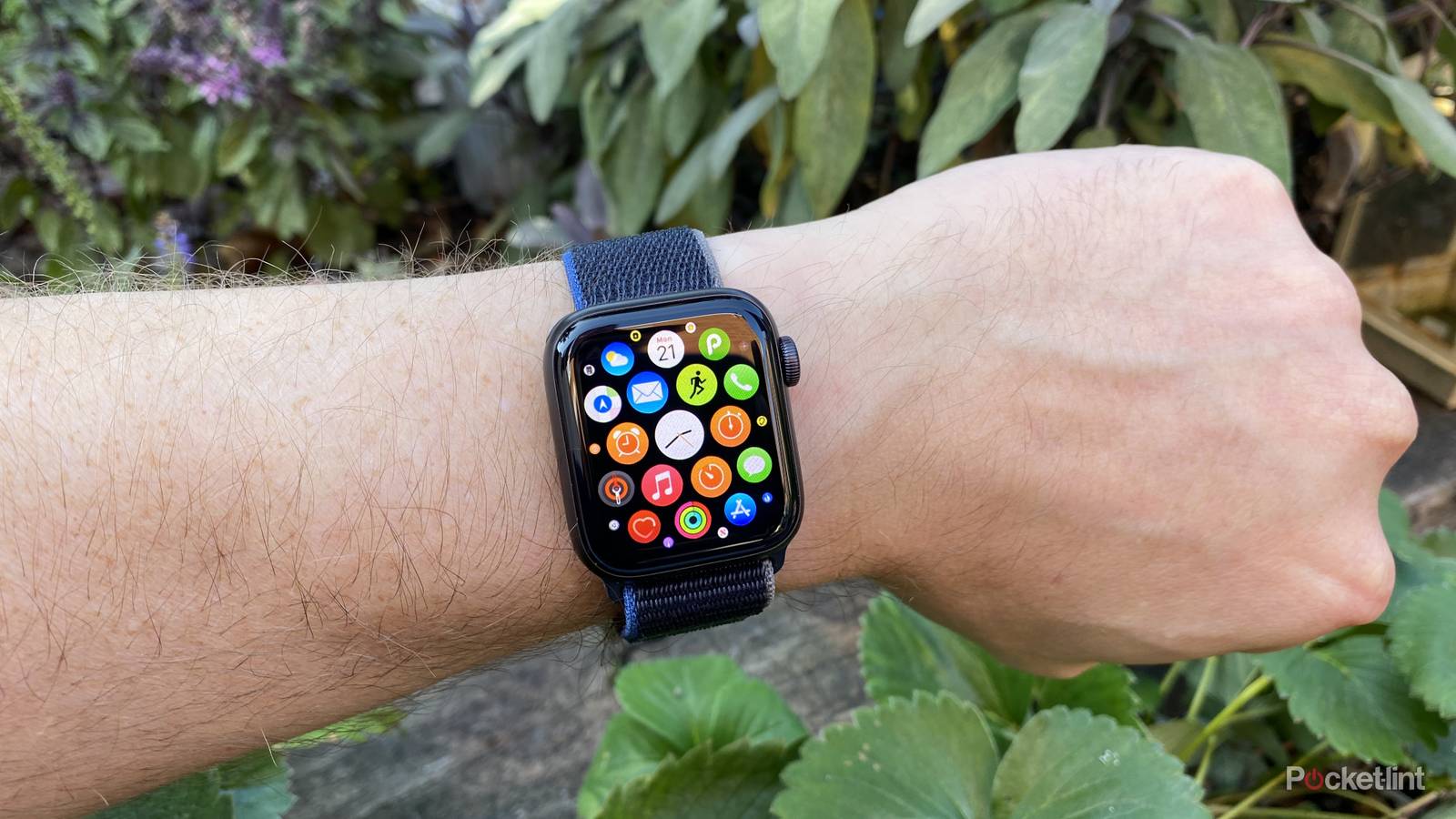 Apple Watch SE review: The smarter choice for your wallet