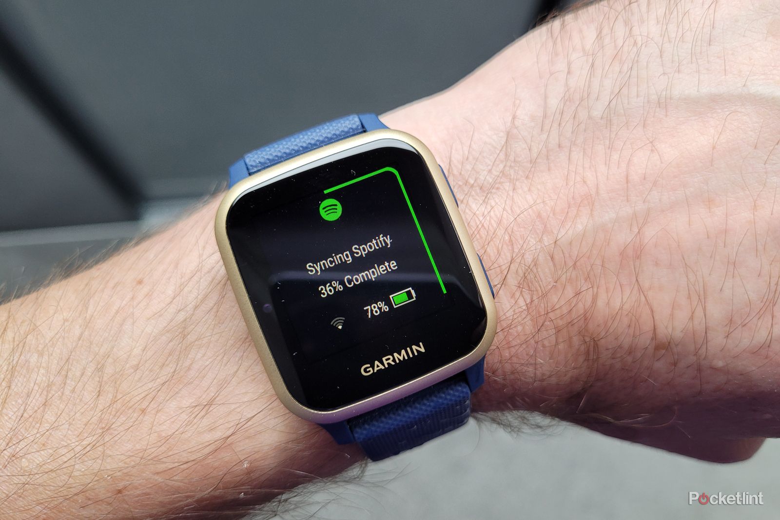 Garmin Venu Sq review: Sporting smarts in a compact watch