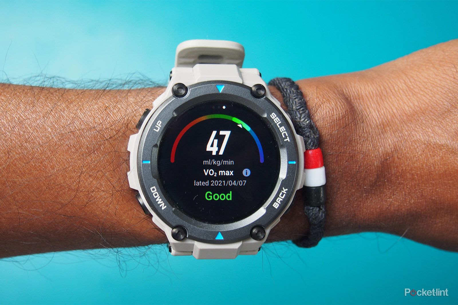 Amazfit T-Rex Pro review: Bit of a dinosaur?
