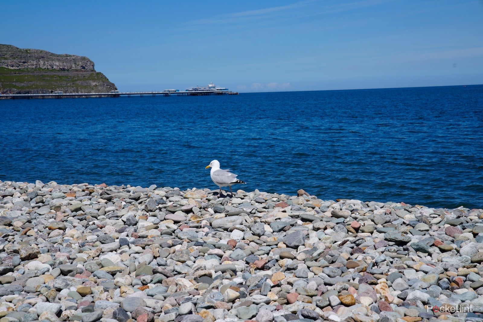 Sony A1 review: One camera to rule them all