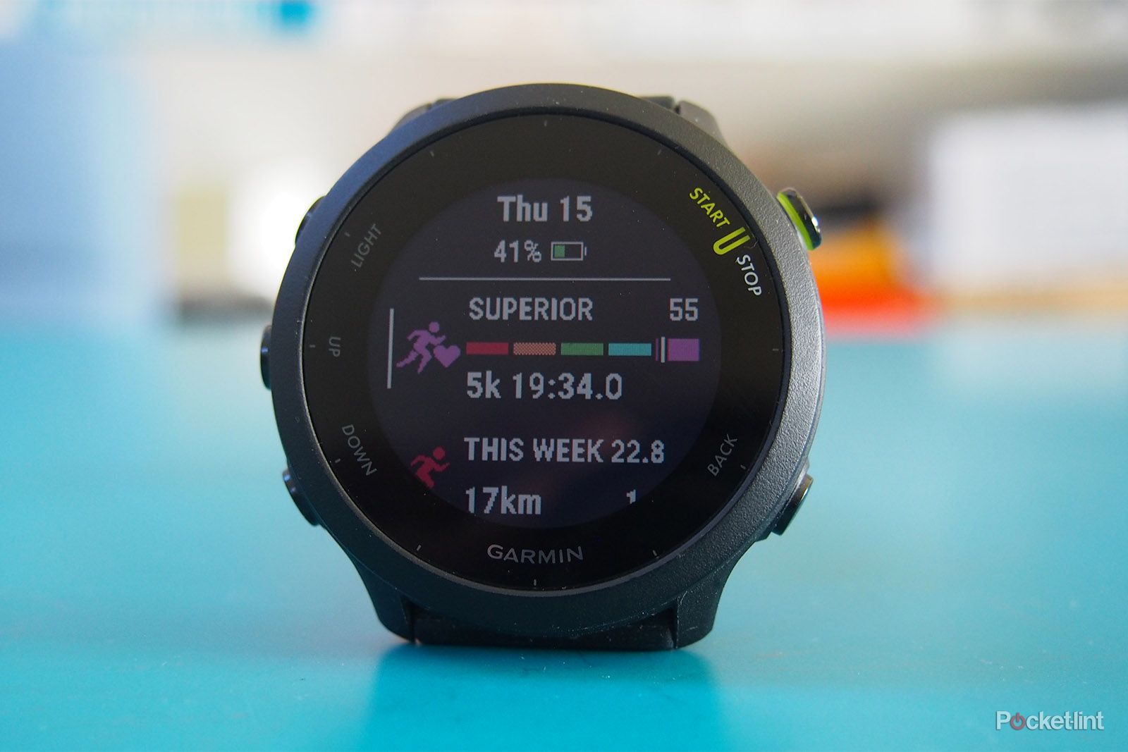 Garmin Forerunner 165 vs Forerunner 55