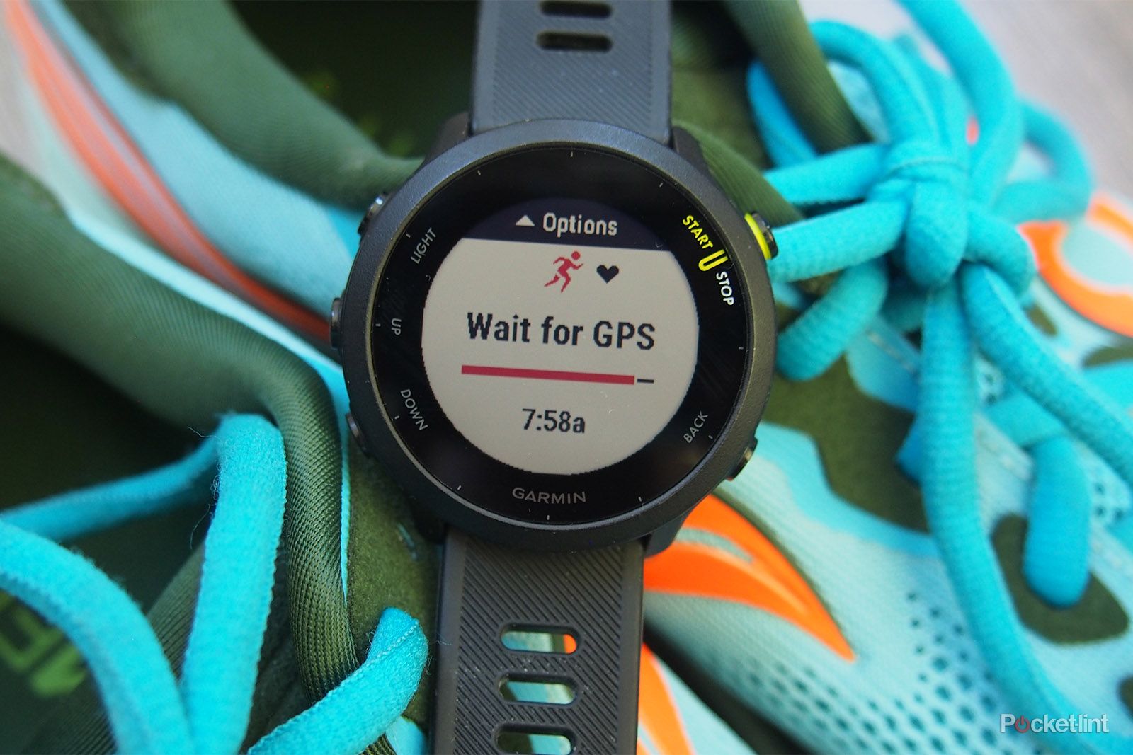 Garmin Forerunner 165 vs Forerunner 55
