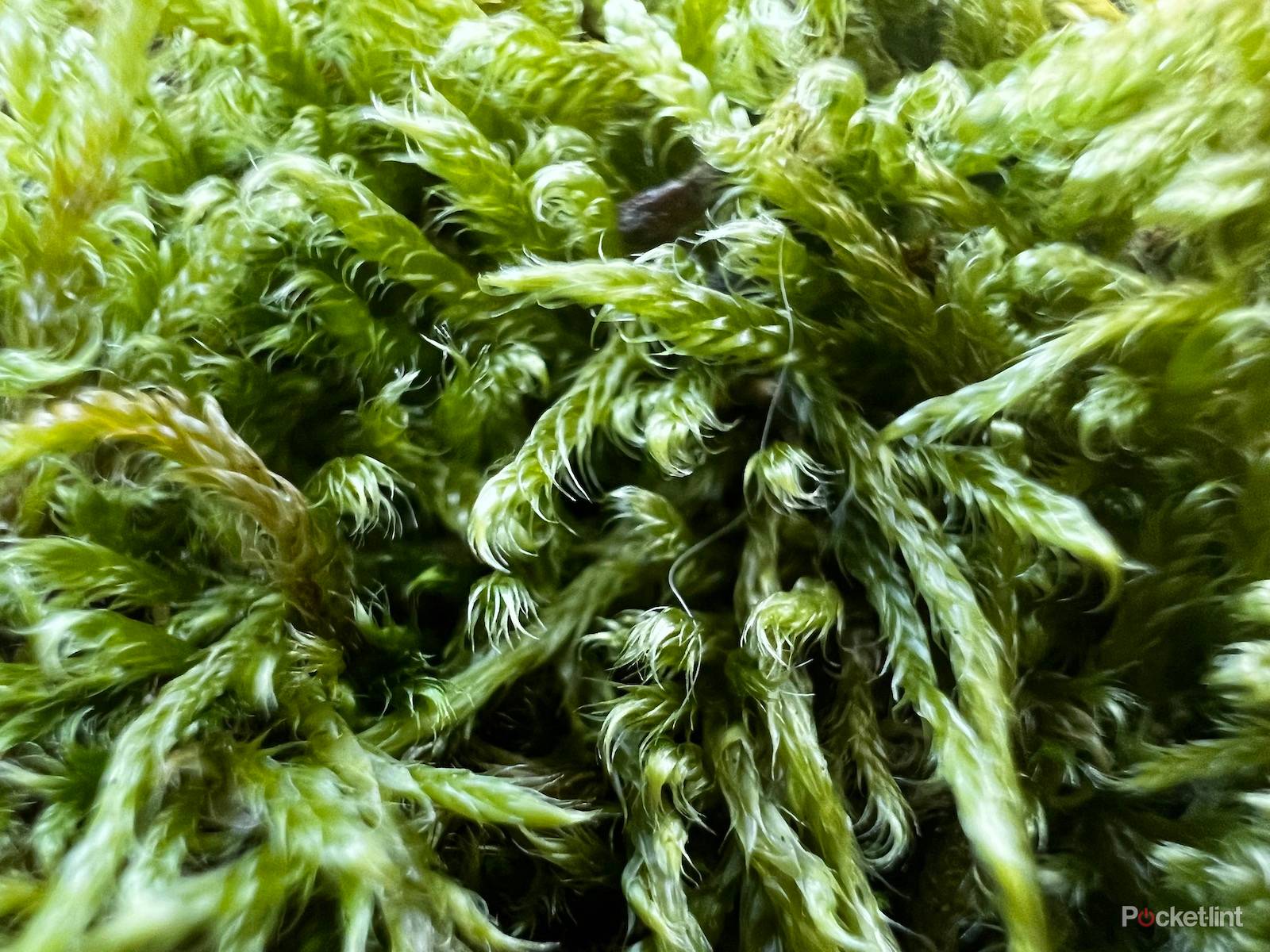 iPhone 13 Pro sample shots photo 9