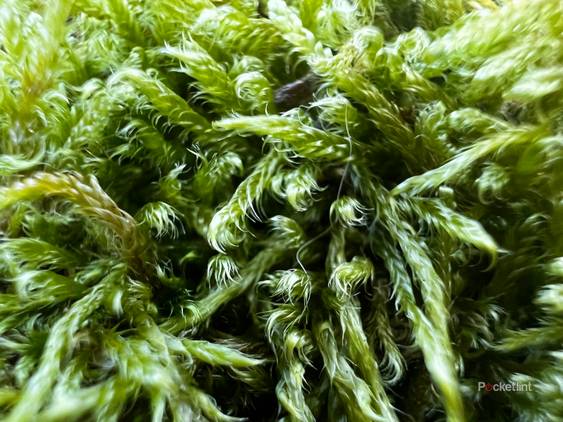 iPhone 13 Pro sample shots photo 9