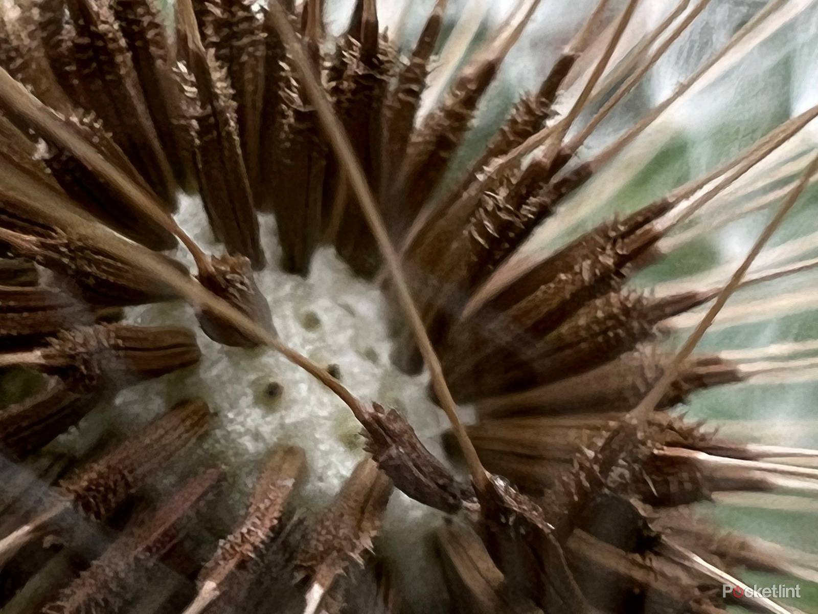 iPhone 13 Pro sample shots photo 5