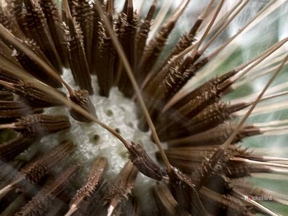 iPhone 13 Pro sample shots photo 5