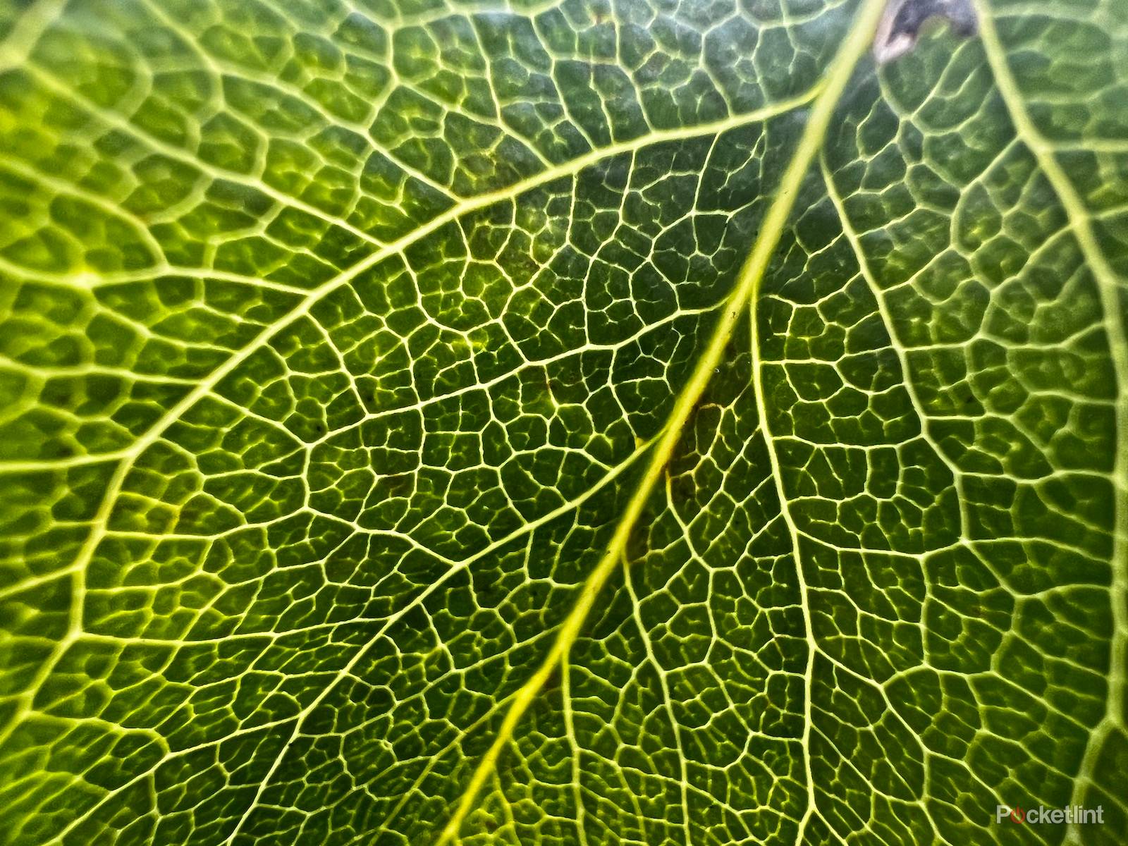 iPhone 13 Pro sample shots photo 10