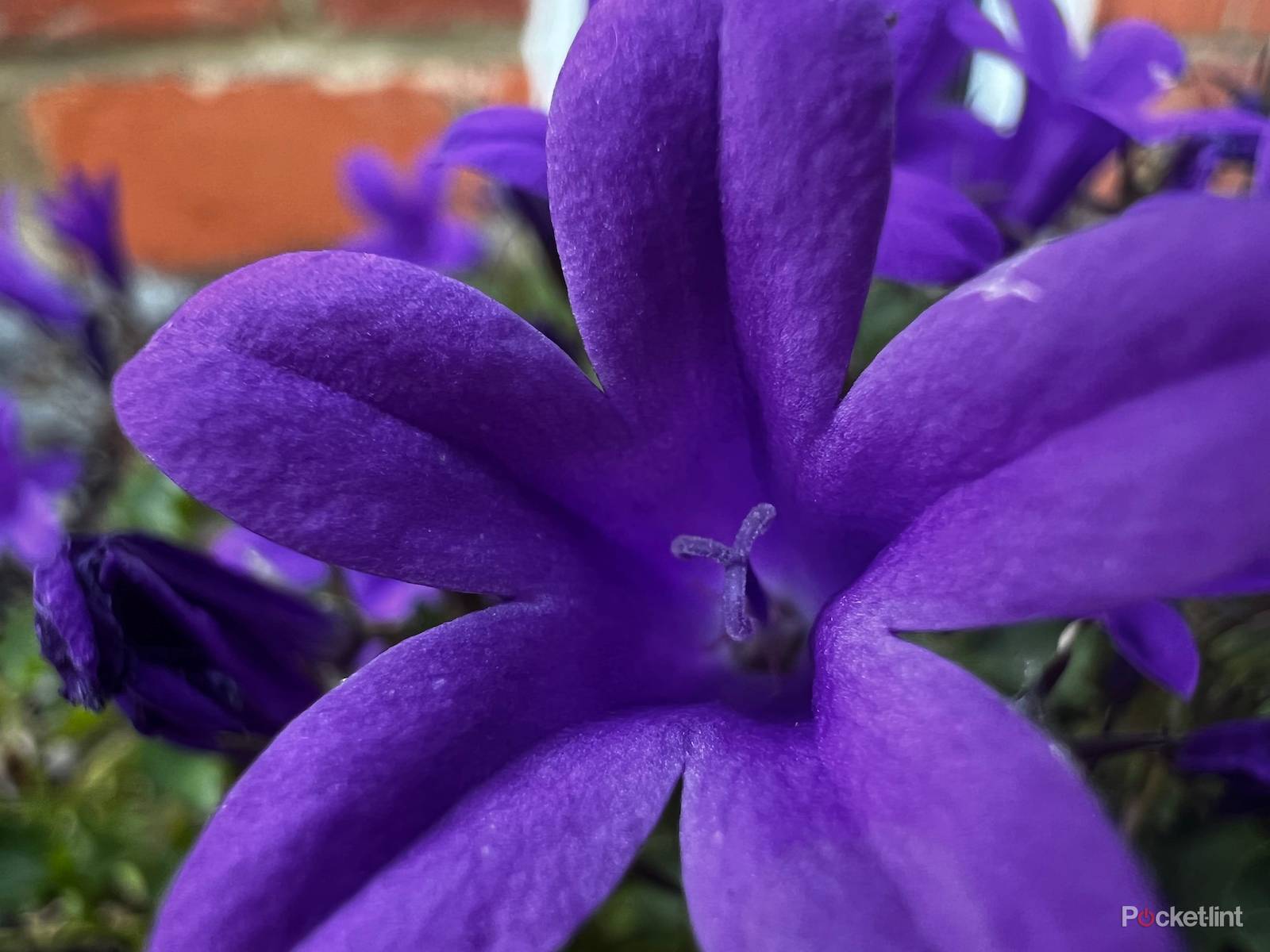 iPhone 13 Pro sample shots photo 11