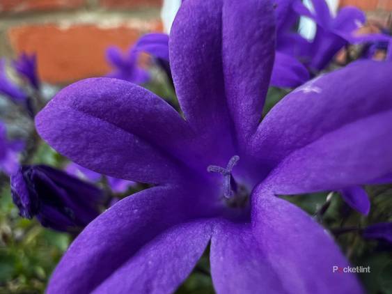 iPhone 13 Pro sample shots photo 11