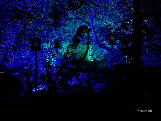 iPhone 13 Pro night mode shots photo 2