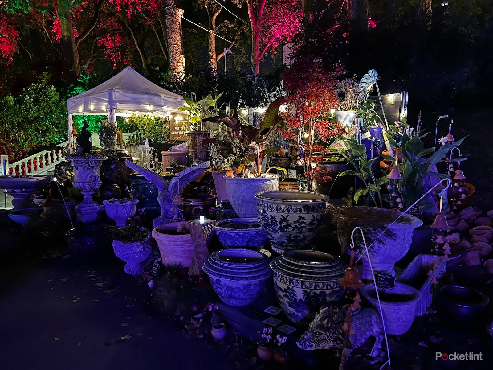 iPhone 13 Pro night mode shots photo 4