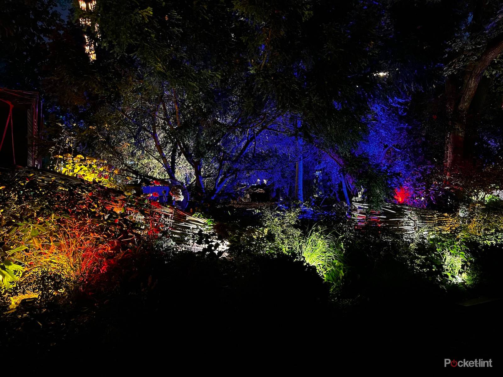 iPhone 13 Pro night mode shots photo 6