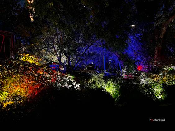 iPhone 13 Pro night mode shots photo 6