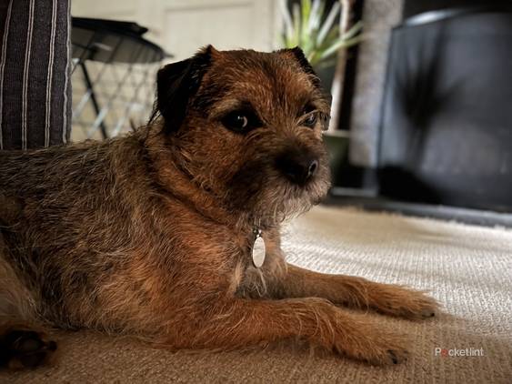 iPhone 13 Pro sample shots photo 4