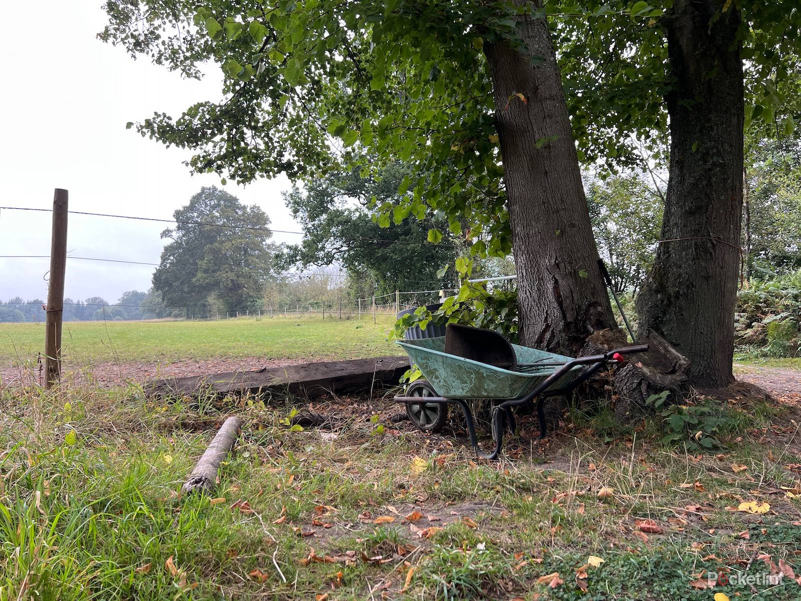 iPhone 13 Pro sample shots photo 8