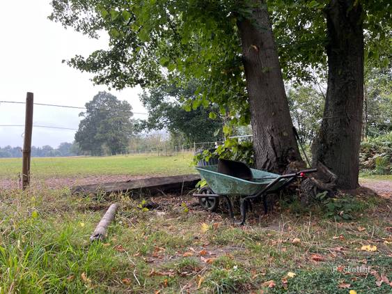 iPhone 13 Pro sample shots photo 8