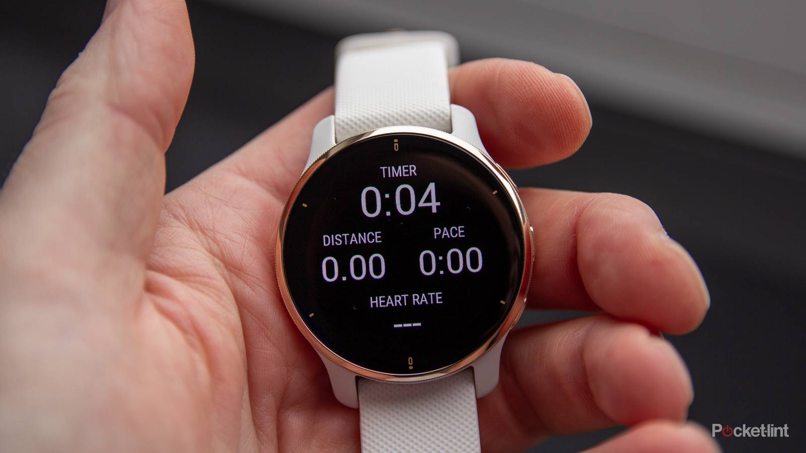 Garmin Venu 2 Plus review: Voice comes to Garmin