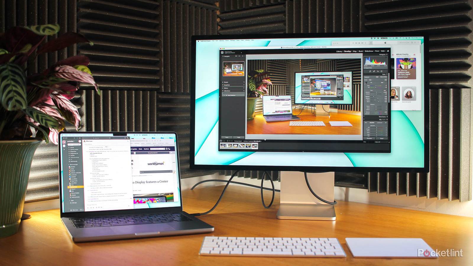 Best System Display Best monitor 2024: Top displays for office use, gaming and creatives