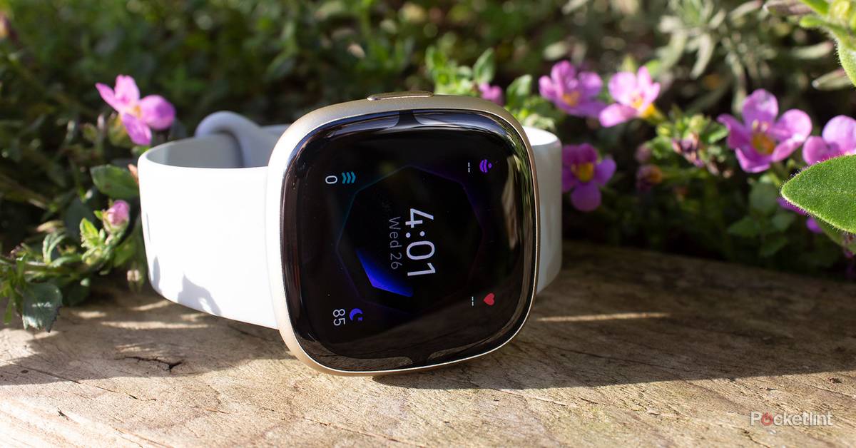 Fitbit Sense review: Excellent health watch