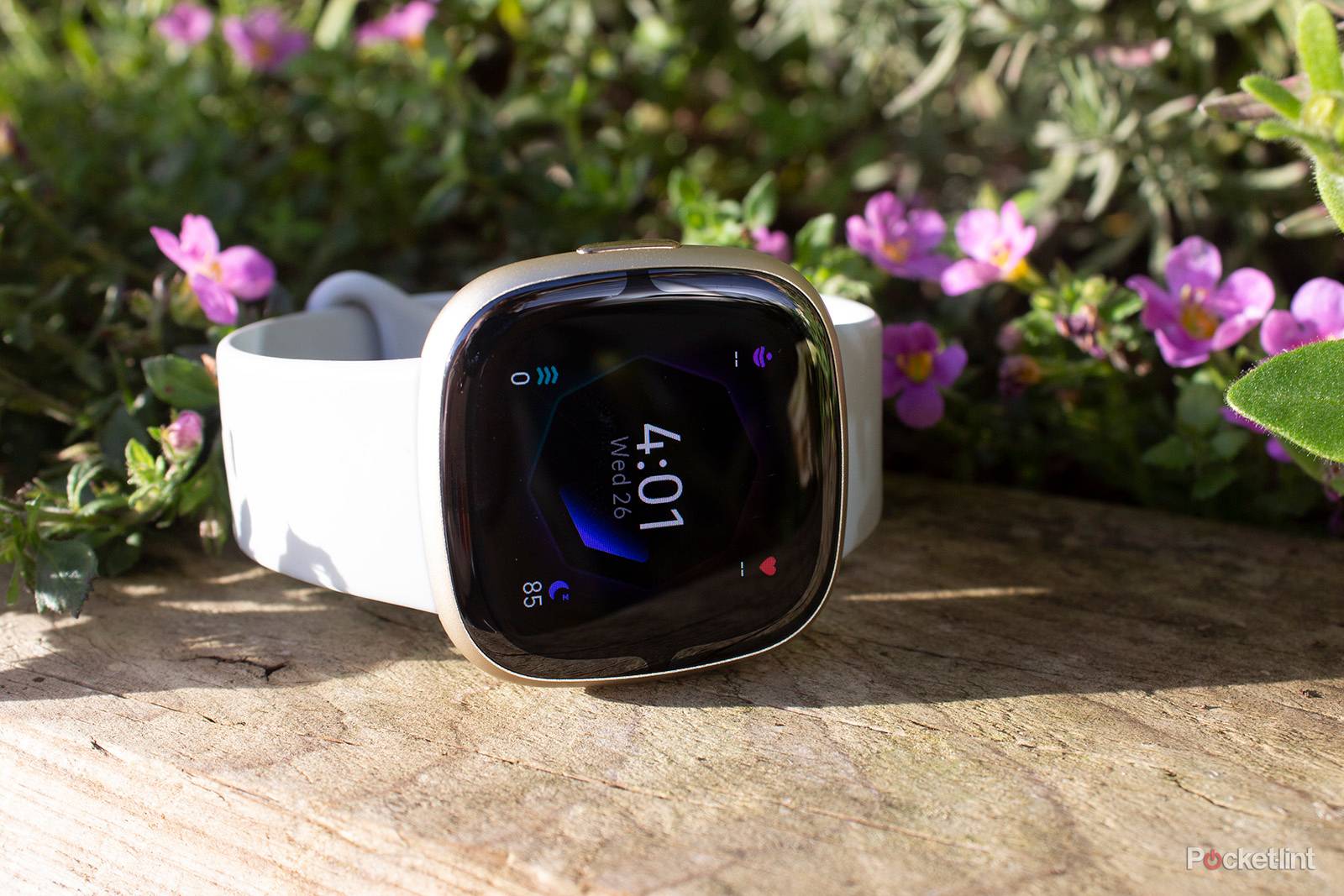 Fitbit Sense review: Excellent health watch