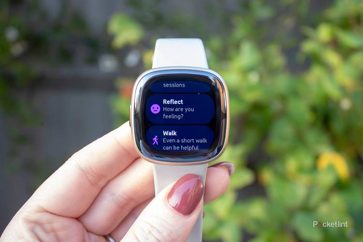 Fitbit Watch Fitbit Sense Rating Fitbit Sense Review: Is This The