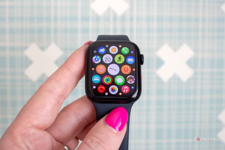 Apple Watch SE (2022) review: Best of the bunch?