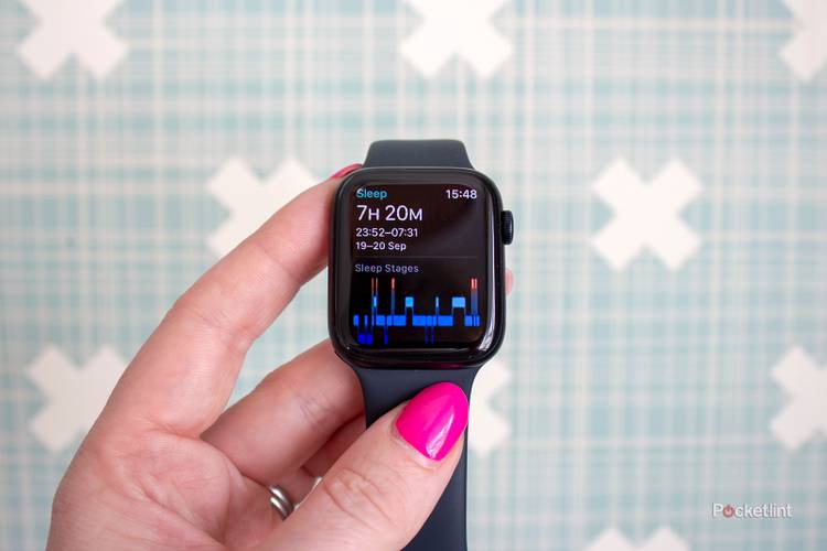 Iphone Se 44mm Review Watch Se Apple Watch Series And SE Review