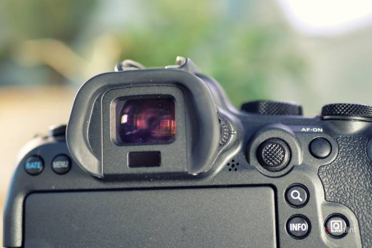 Canon EOS R6 Mark II review: Jack of all trades
