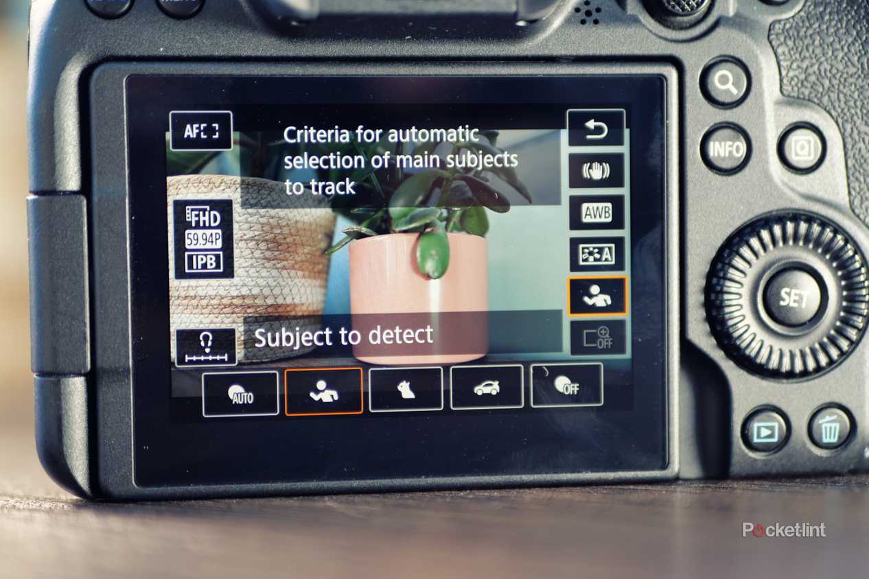 Best Canon cameras 2024