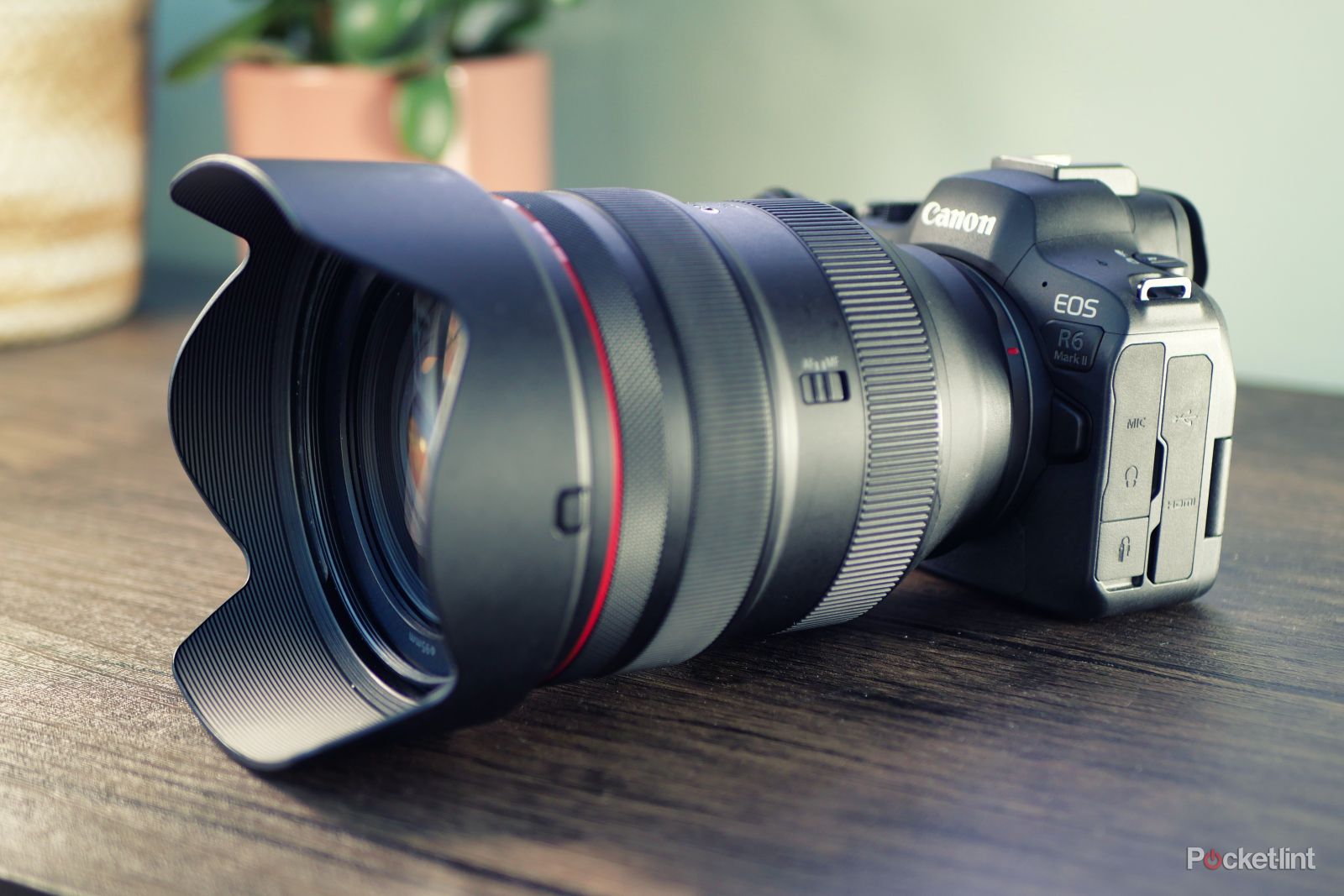 Canon EOS R6 MarkⅡ RF Amazon.com : Canon EOS R6 Mark II Mirrorless Camera with RF
