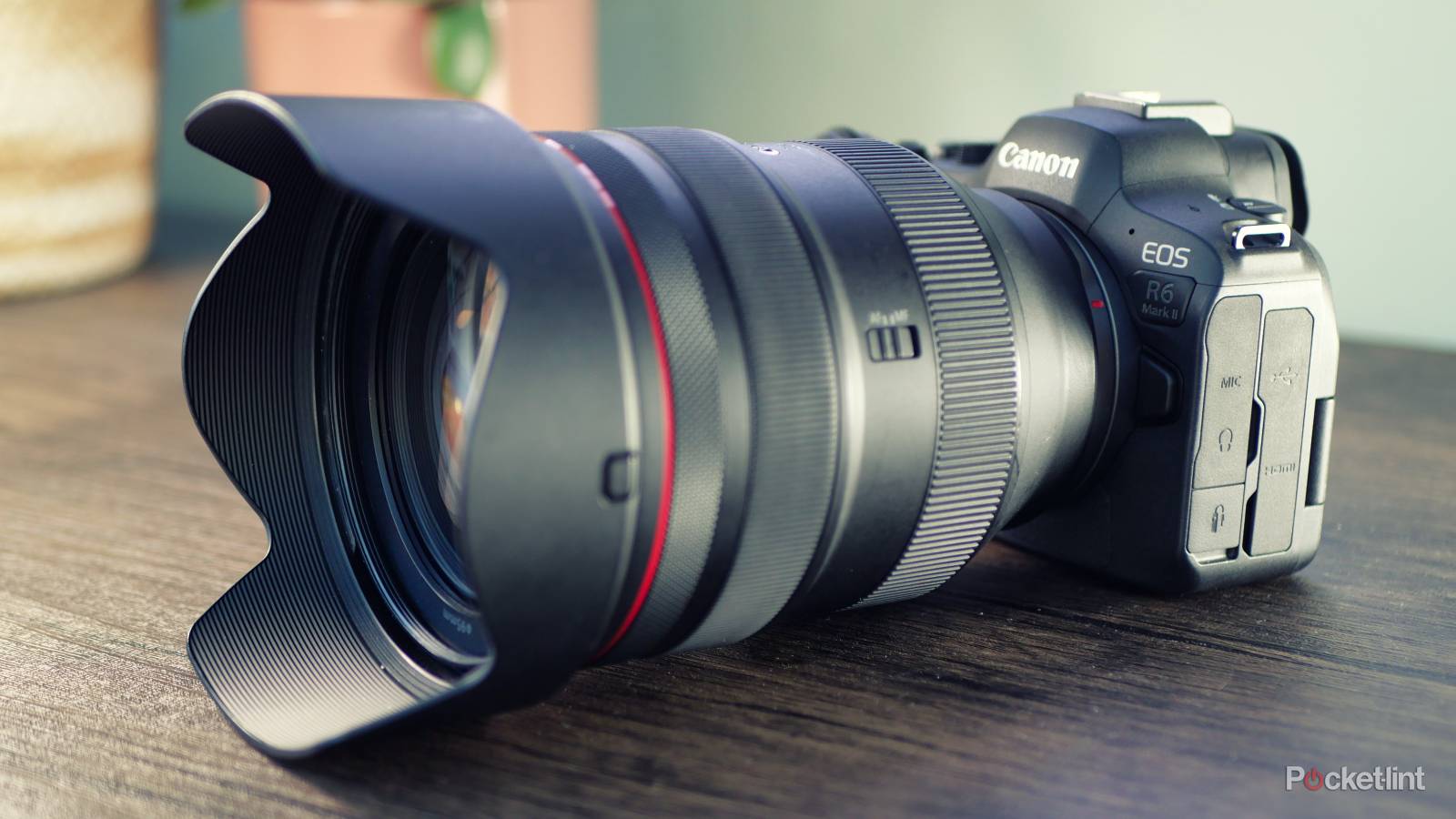 Canon EOS R6 Mark II review: Jack of all trades