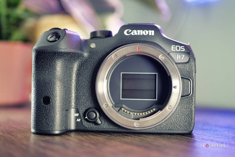 Canon EOS R8 vs R7: Which camera should you pick?