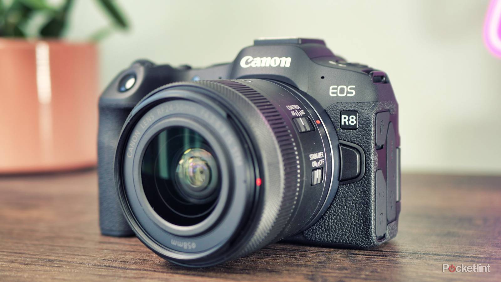 Canon EOS R8 review: Punching above its weight