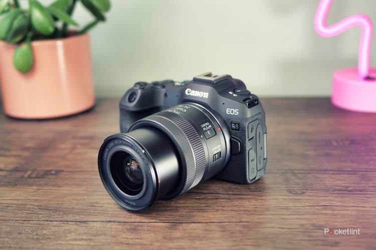 Canon EOS R8 review: Punching above its weight