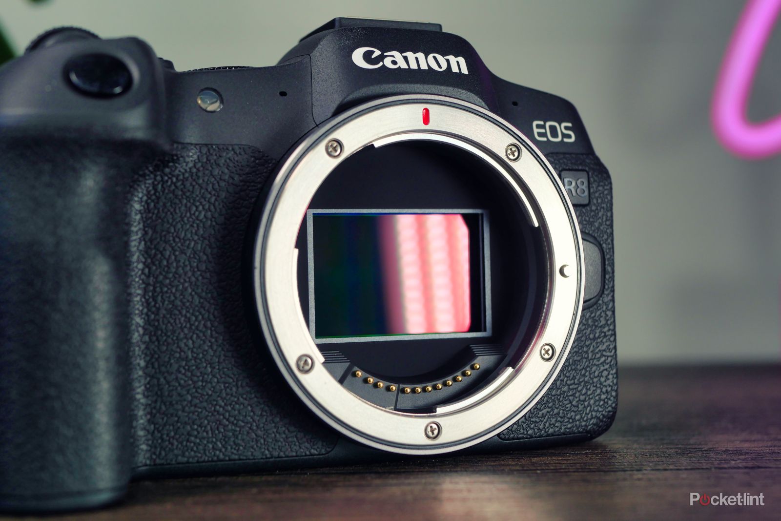 Full Frame Most Popular Canon Camera Best Canon Cameras 2024