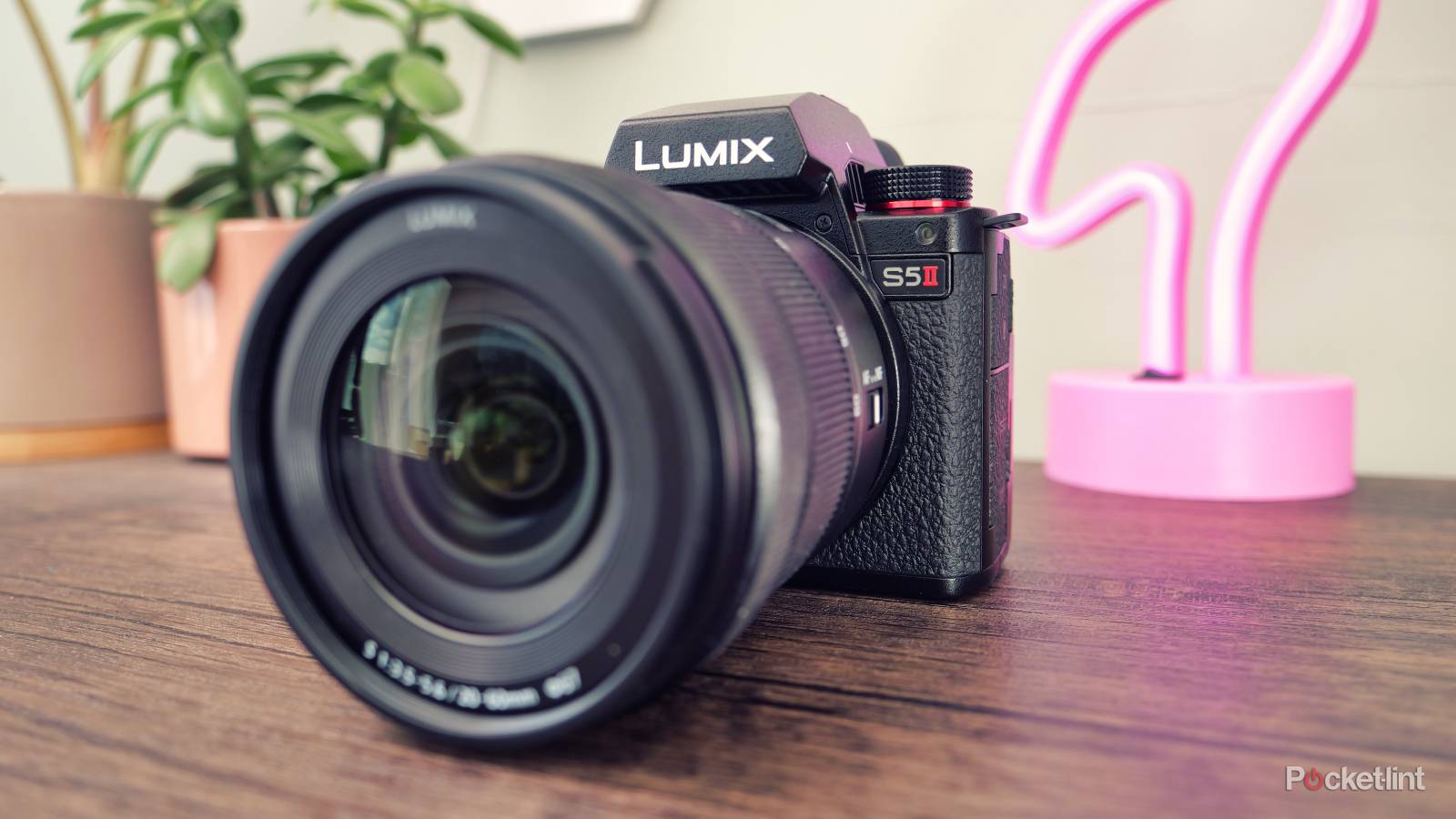 Mirrorless Cameras What's A Good Camera Wildlife Photography