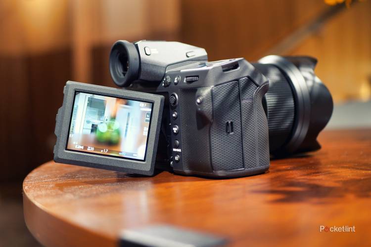 The best professional-grade cameras 2024: Expert tested and reviewed