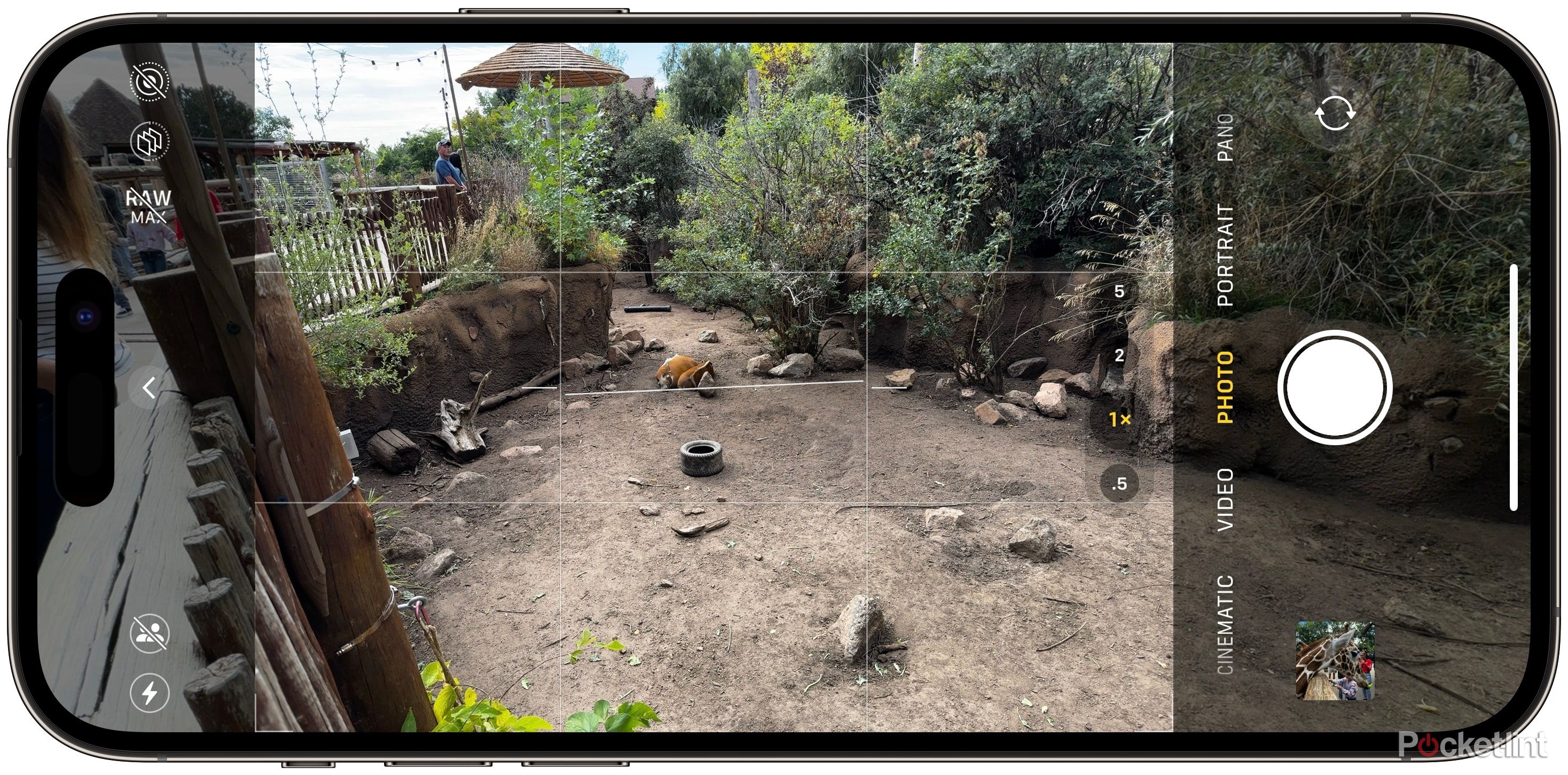 Portrait Mode Iphone 11 Depth Camera Useful Tips And Tricks To