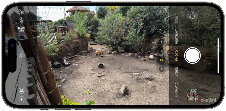 Portrait Mode Iphone 11 Depth Camera Useful Tips And Tricks To