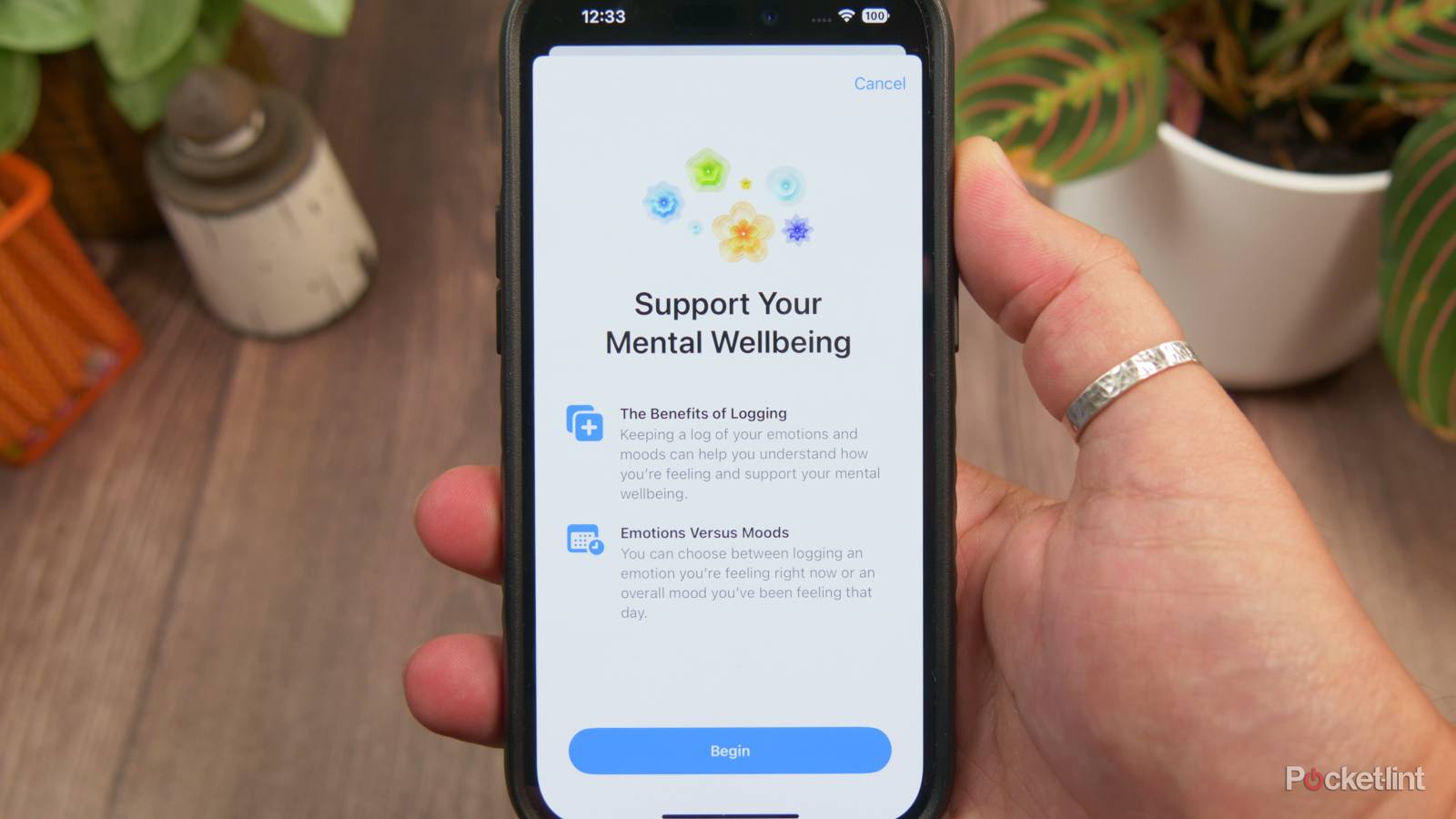 How to log moods and take a mental health assessment in Apple Health ...