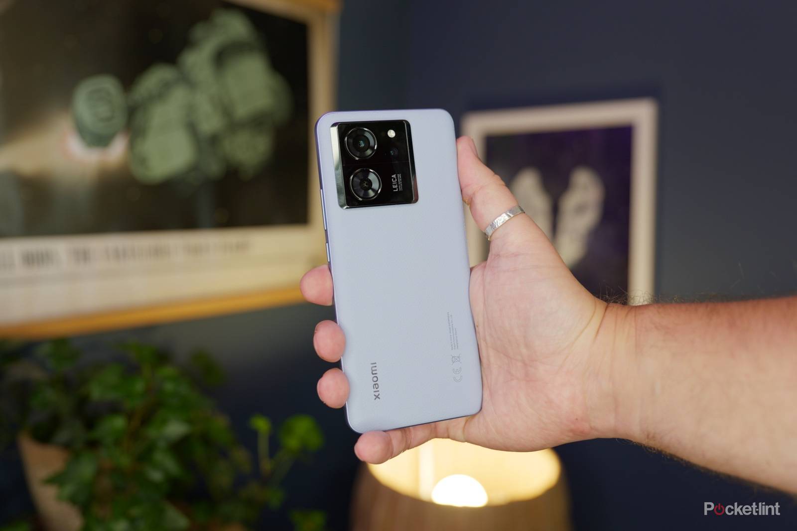 xiaomi-13t-back-in-hand.jpg?w= 