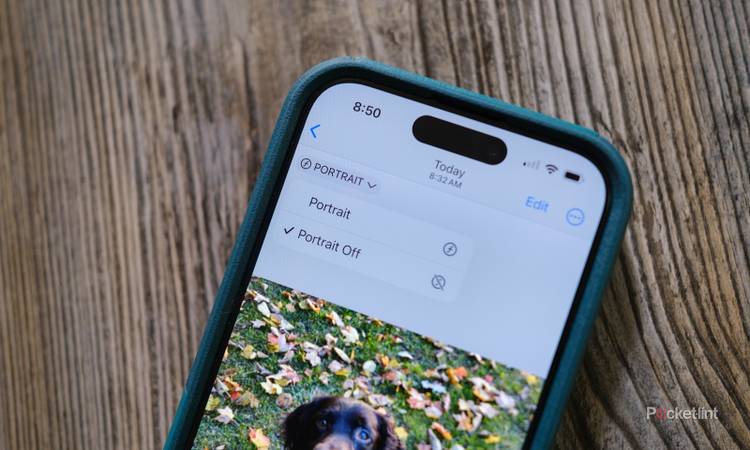 Portrait photos on iPhone 15: Transform a regular photo into a portrait ...