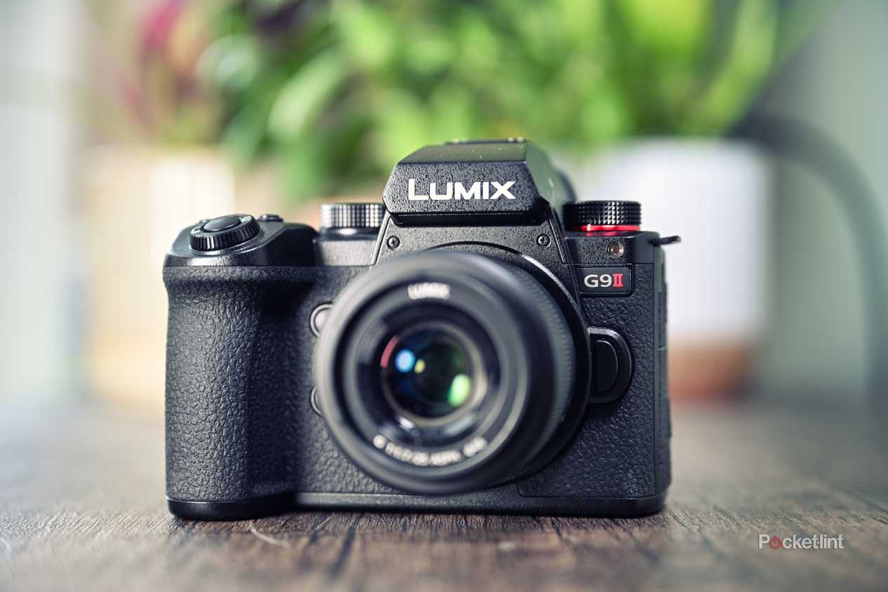 And Shoot Camera Best Small Wildlife Camera The Best Mirrorless