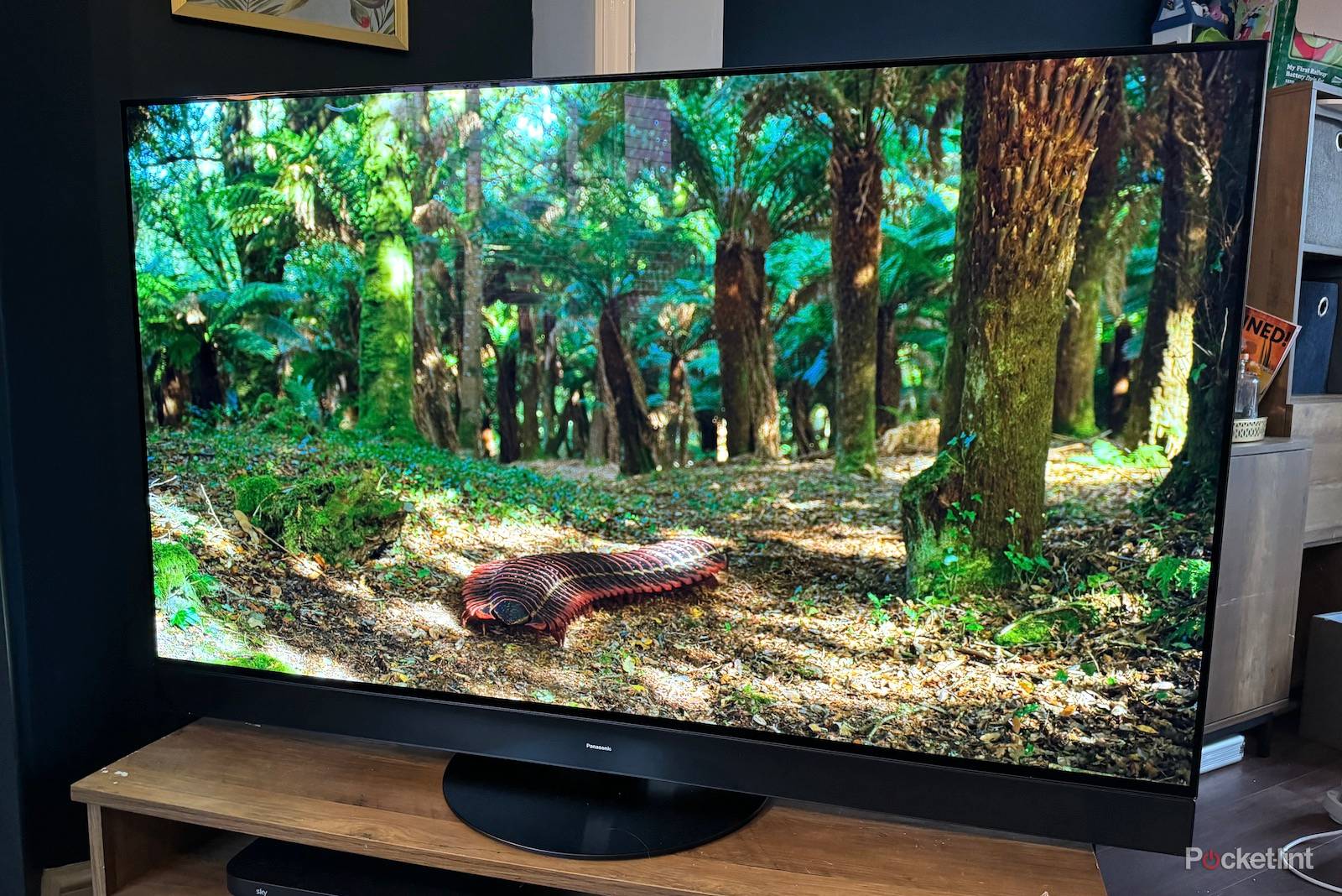 もんのじょうPanasonic 4K液晶テレビ もんのじょうPanasonic 4K液晶