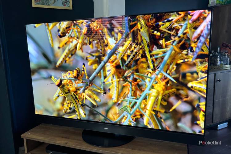 The Panasonic MZ2000 is the ultimate home cinema package