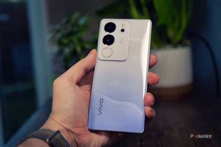 Vivo V29 review: Perfect portraits at a bargain price
