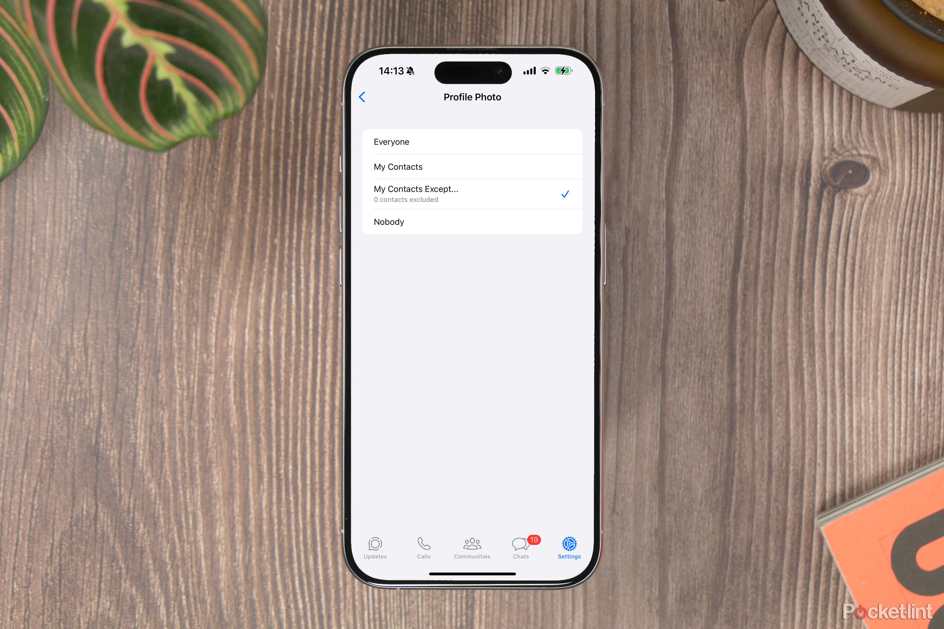 WhatsApp Profile Pic - 1