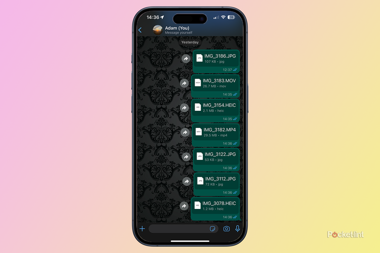 photos and videos sent as documents on WhatsSpp iPhone 15 Pro